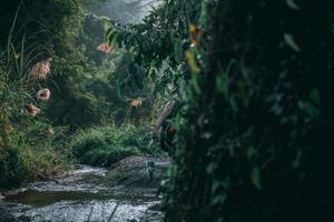 BIB: 
                            <button type="button" onclick="openModal(13716624)" class="btn btn-primary btn-sm float-right btn-popup" data-toggle="modal" data-target=".modal-high-quality">
                        <i class="fas fa-shopping-cart"></i> Add to Cart
                    </button>
                                            <button type="button" onclick="isThisMe(13716624, true)" class="btn btn-success btn-sm float-right btn-popup btn-isme hidden" data-toggle="tooltip" data-placement="bottom" title="นี่คือรูปของคุณใช่ไหม คลิกที่นี่เพื่อเอาเข้าอัลบั้ม">
                        <i class="fas fa-plus"></i> Add to album
                    </button>
                    <button type="button" onclick="isThisMe(13716624, false)" class="btn btn-warning btn-sm float-right btn-popup btn-isnotme hidden">
                        <i class="fas fa-ban"></i> Remove from album
                    </button>